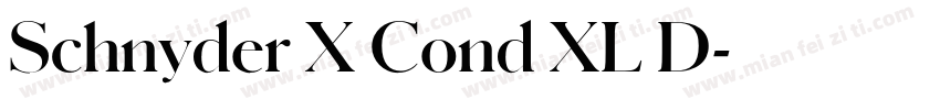 Schnyder X Cond XL D字体转换